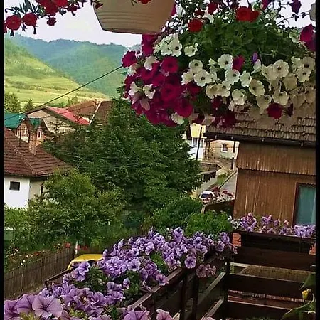 Konukevi Sobe Laveera